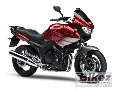 2008 Yamaha TDM 900 photo